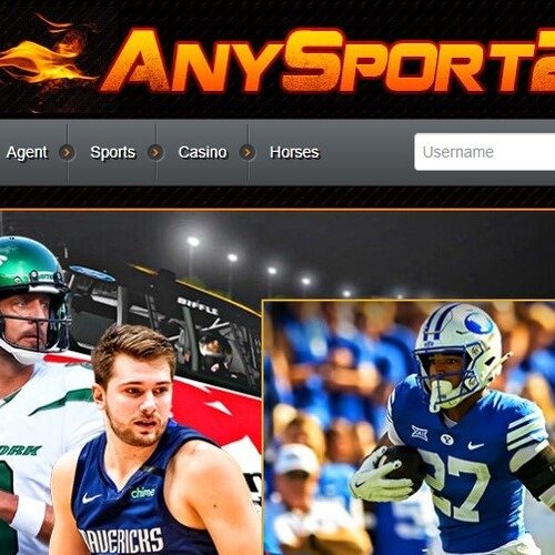 anysport247